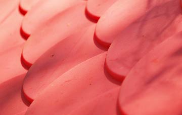 Denvilles plastic roof costs